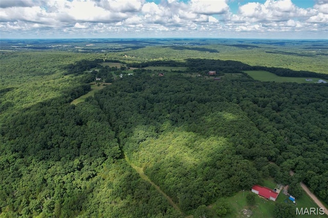 TRACT2- Clay Rd, Falcon, MO 65470