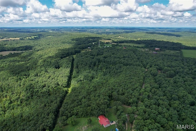 TRACT2- Clay Rd, Falcon, MO 65470
