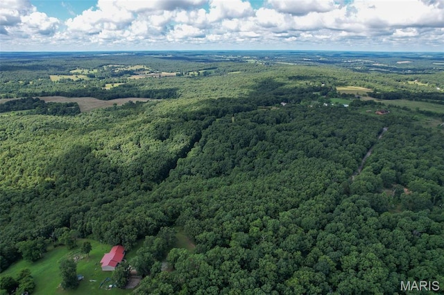 TRACT2- Clay Rd, Falcon, MO 65470