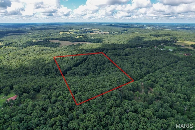 TRACT2- Clay Rd, Falcon, MO 65470