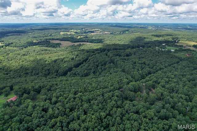 TRACT2- Clay Rd, Falcon, MO 65470