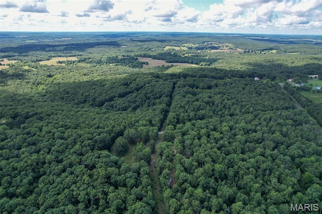 TRACT2- Clay Rd, Falcon, MO 65470