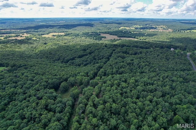 TRACT2- Clay Rd, Falcon, MO 65470