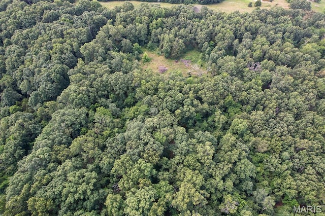 TRACT2- Clay Rd, Falcon, MO 65470