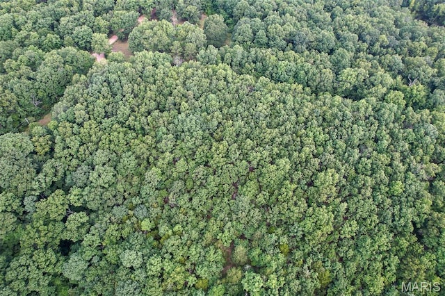TRACT2- Clay Rd, Falcon, MO 65470