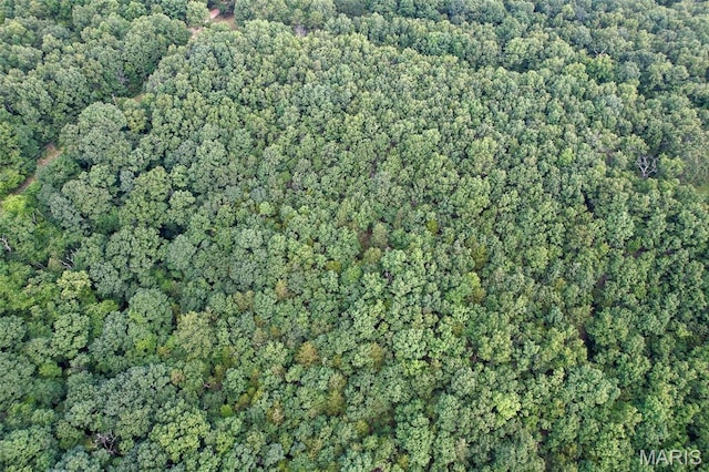 TRACT2- Clay Rd, Falcon, MO 65470