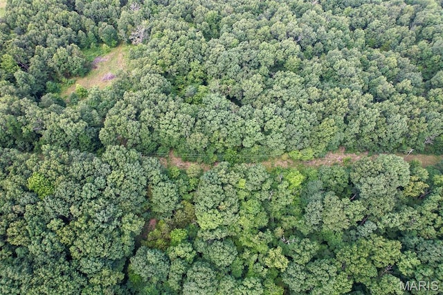 TRACT2- Clay Rd, Falcon, MO 65470