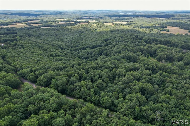 TRACT2- Clay Rd, Falcon, MO 65470