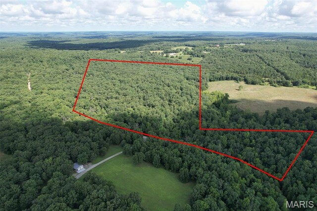 TRACT1- Wildwood Dr, Falcon, MO 65470 - photo 1