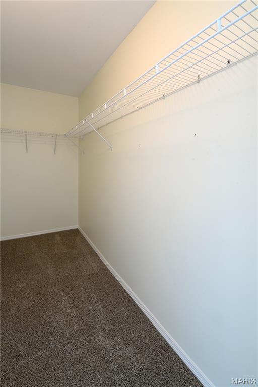 154 Homeshire Dr Unit 27, Wentzville, MO 63385 - spacious closet featuring carpet