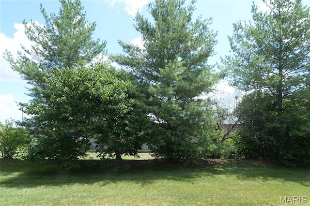 154 Homeshire Dr Unit 27, Wentzville, MO 63385 - view of green lawn