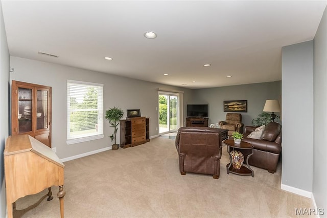 217 Schroeder Grove Dr, Wentzville, MO 63385 - photo 25
