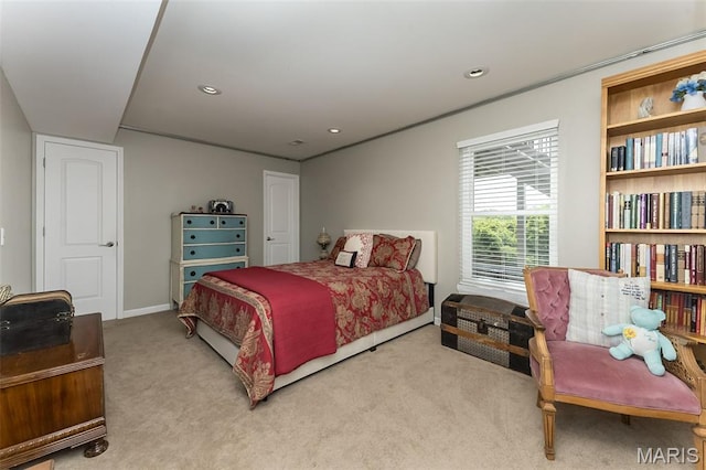 217 Schroeder Grove Dr, Wentzville, MO 63385 - photo 28