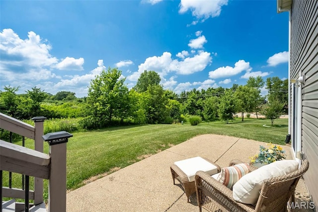 217 Schroeder Grove Dr, Wentzville, MO 63385 - photo 33