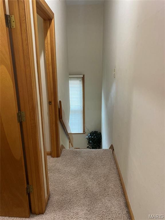 2654 Park Ave, Saint Louis, MO 63104 - photo 40