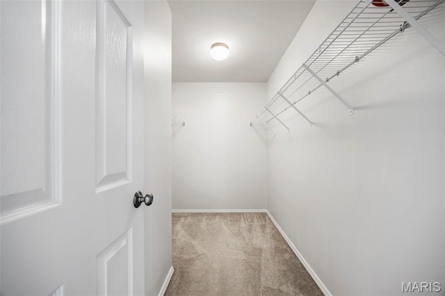 122 Homeshire Dr, Wentzville, MO 63385 - photo 26