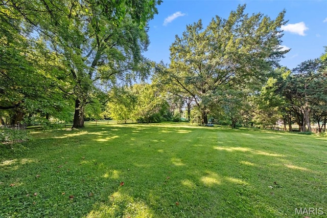 100 Calverton Rd, Saint Louis, MO 63135 - view of yard