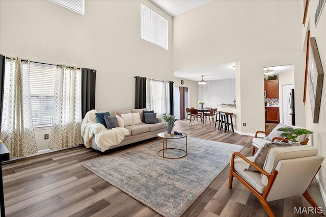 621 Royal Crest Way, Ofallon, IL 62269 - living room with a high ceiling and wood finished floors