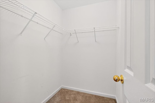 621 Royal Crest Way, Ofallon, IL 62269 - spacious closet with carpet