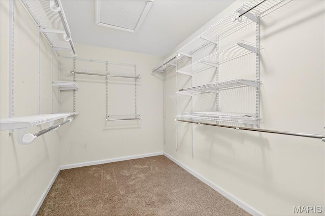 621 Royal Crest Way, Ofallon, IL 62269 - spacious closet featuring carpet