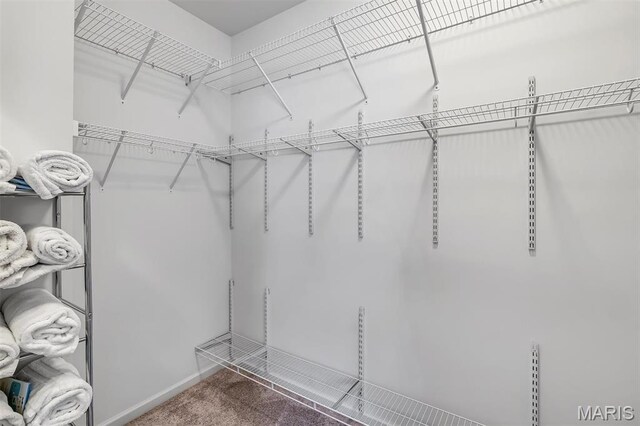 207 Grayleaf Ct, Wentzville, MO 63385 - photo 21