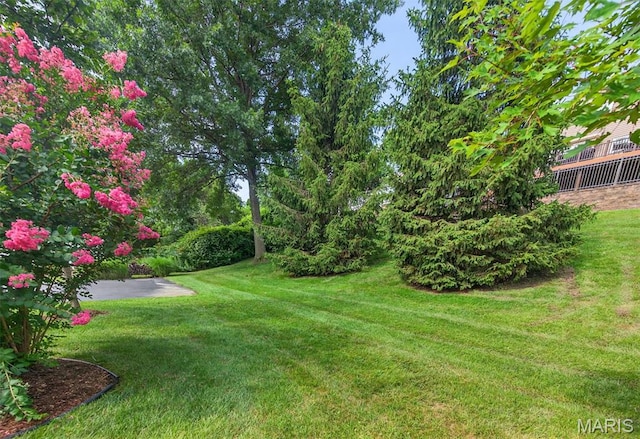 1351 Rusticview Dr, Ballwin, MO 63011 - photo 28