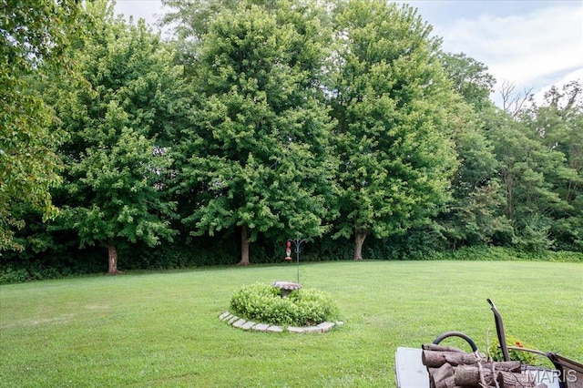 21655 Westview Rd, Carlyle, IL 62231 - photo 51