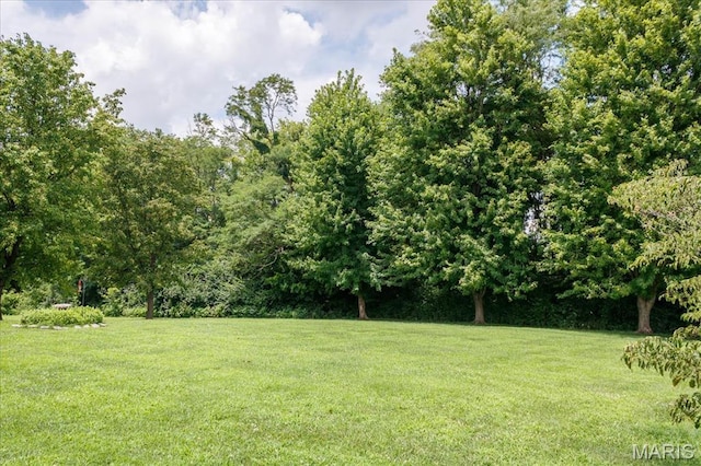 21655 Westview Rd, Carlyle, IL 62231 - photo 55