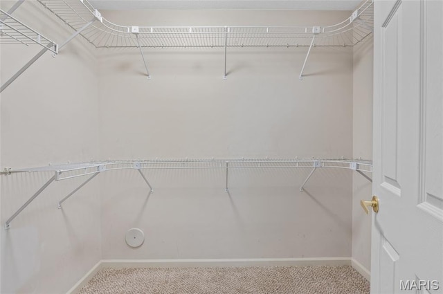 1817 Partridge Pl, Edwardsville, IL 62025 - spacious closet featuring carpet floors