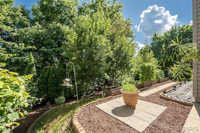 510 Newkirk Cir, Saint Charles, MO 63303 - view of yard