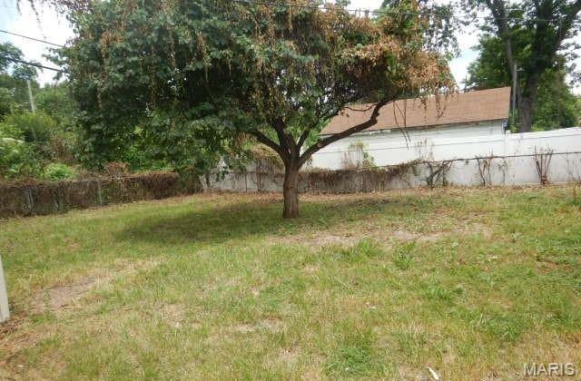 11947 Bridgevale Ave, Saint Louis, MO 63138 - view of yard