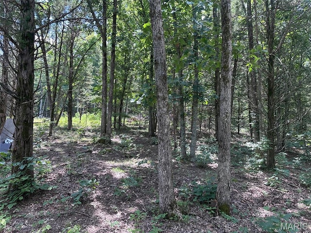0 Buckeye Rd, Dittmer, MO 63023