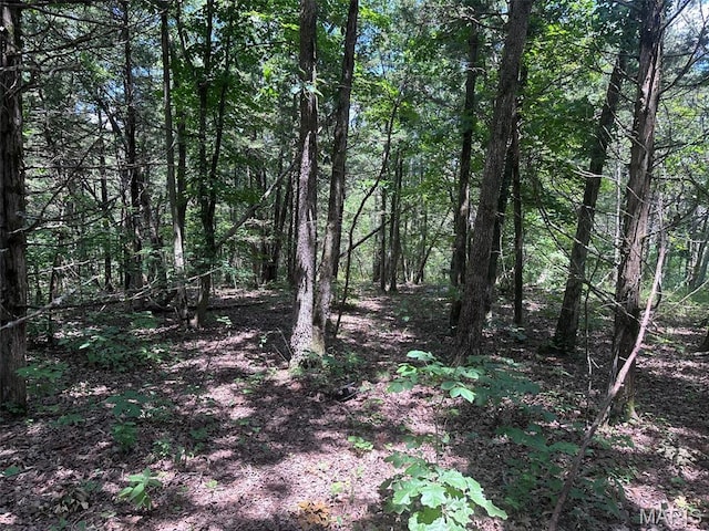 0 Buckeye Rd, Dittmer, MO 63023