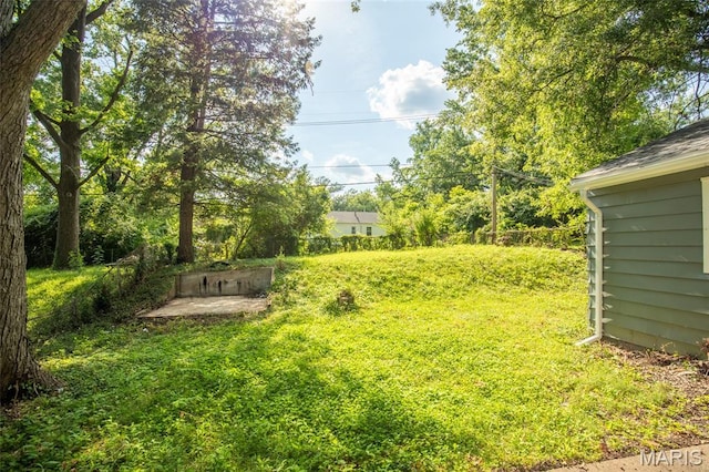 10141 Ventura Dr, Ferguson Township, MO 63136 - view of yard