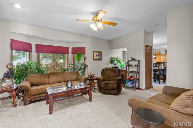 1231 High St, Washington, MO 63090 - photo 5