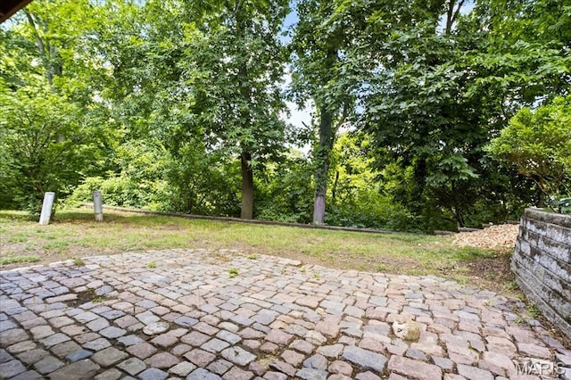 775 Knickerbacker Dr, Manchester, MO 63021 - view of patio / terrace