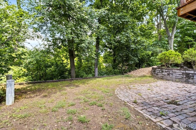 775 Knickerbacker Dr, Manchester, MO 63021 - view of yard featuring a patio
