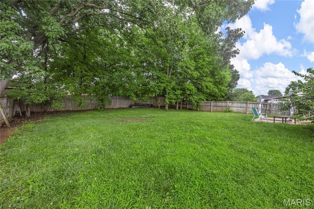 206 Split Rail Dr, Wentzville, MO 63385 - photo 25