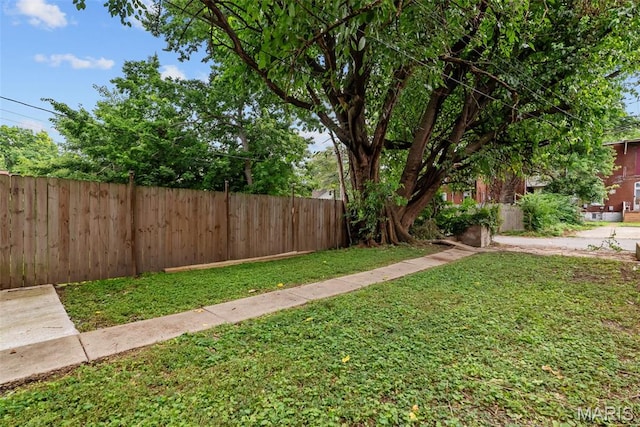 3254 Ohio Ave, Saint Louis, MO 63118 - photo 42