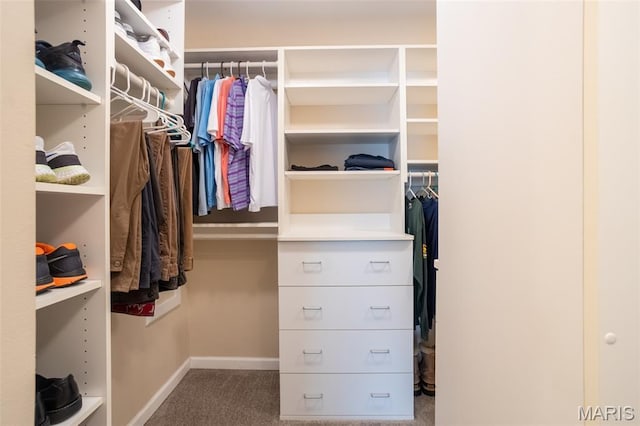 5593 Baronridge Dr Unit 7, Saint Louis, MO 63129 - walk in closet with carpet floors