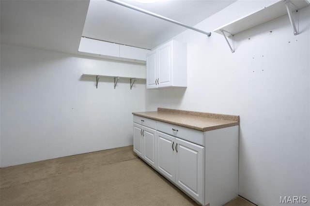 5593 Baronridge Dr Unit 7, Saint Louis, MO 63129 - spacious closet with light colored carpet