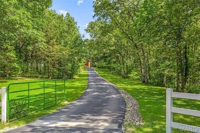 5090 Green Hills Rd, Festus, MO 63028 - view of street with a gate