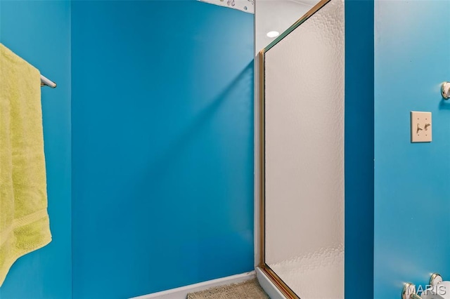 5090 Green Hills Rd, Festus, MO 63028 - full bath featuring a shower stall
