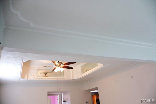616 Greensferry Rd, Jackson, MO 63755 - detailed view of ceiling fan