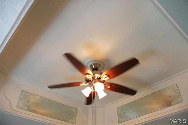 616 Greensferry Rd, Jackson, MO 63755 - detailed view of a ceiling fan