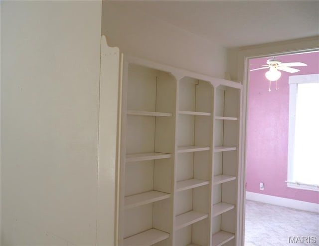 616 Greensferry Rd, Jackson, MO 63755 - view of closet