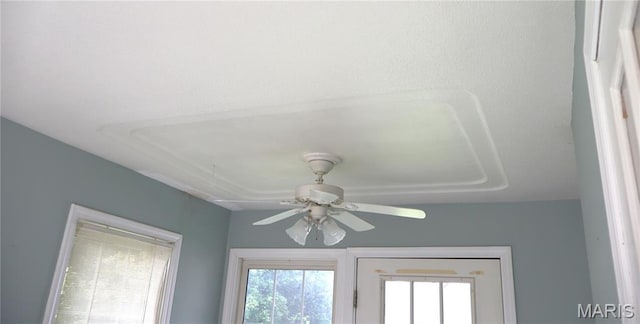 616 Greensferry Rd, Jackson, MO 63755 - detailed view of ceiling fan