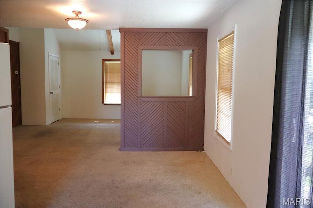 616 Greensferry Rd, Jackson, MO 63755 - carpeted empty room with plenty of natural light