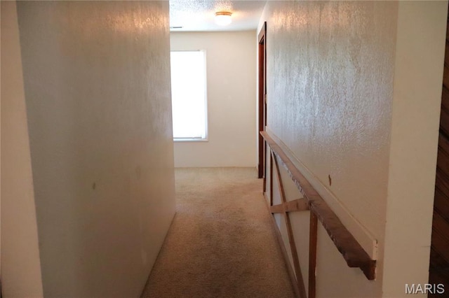 616 Greensferry Rd, Jackson, MO 63755 - corridor with carpet floors