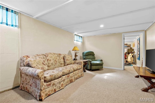 514 W Sherman St, Bethalto, IL 62010 - photo 35